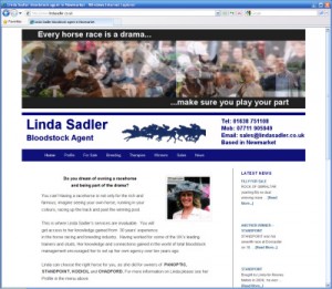 Linda Sadler Bloodstock Agent